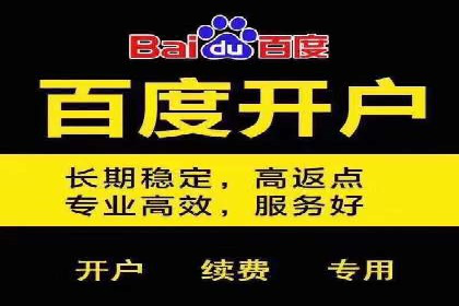 行业领先企业的SEM竞价代运营成功案例揭秘